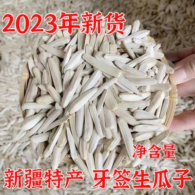 2021牙签瓜子新货马牙瓜子