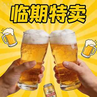 【洪雨精酿】特价 金兰姐妹/幻视/三分月精酿啤酒 6罐 包邮 ！