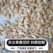 东北粉状黄瓜籽纯现磨袋装 生熟粉冲饮营养无添加代磨粉500g