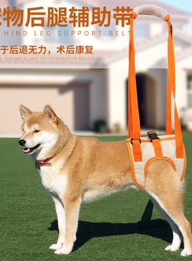 宠物后腿辅助带高龄老年犬残疾犬狗狗术后康复锻炼上楼伸缩协助带