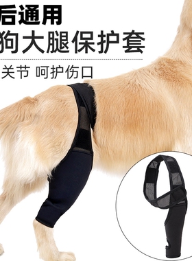 宠物前后腿部骨折固定狗狗大腿肘部护具辅助瘸腿护膝术后受伤保护