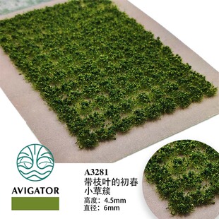AVIGATOR 带枝叶草簇4.5/6.5MM微缩模型 植物场景制作 沙盘材料