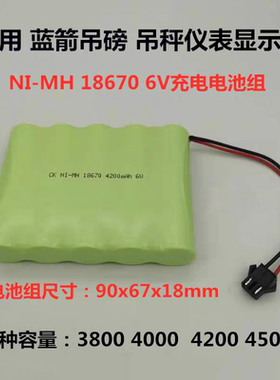 NI-MH 18670 4500mah 6V 适用蓝箭吊磅吊秤OCS仪表显示器充电电池