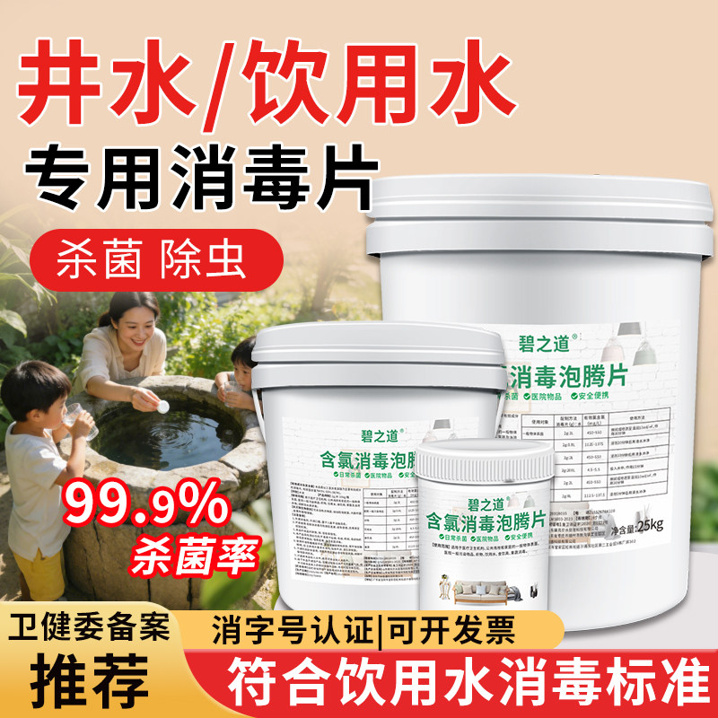 井水消毒粉漂白食用自来饮用水专用杀菌消毒片农村水井水质净化剂 - 实物图