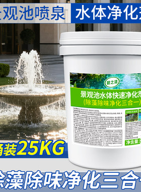 五星酒店景观池水体净化剂消防水池水景水塔绿青苔藓灭水藻清除剂
