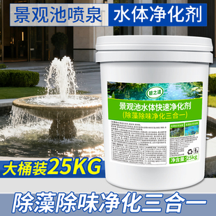 五星酒店景观池水体净化剂消防水池水景水塔绿青苔藓灭水藻清除剂