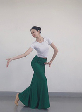 傣族服装练习裙傣族舞蹈演出服艺考练功裙弹力孔雀鱼尾裙表演服