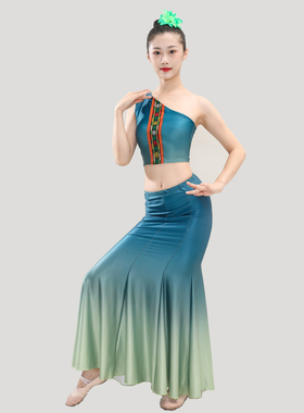 傣族舞蹈服演出服练功舞裙孔雀舞蹈艺考表演服装舞蹈练习裙鱼尾裙