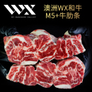 澳洲WX和牛M5 牛肋条肉牛腩条胸腹肉日烧肉烤肉