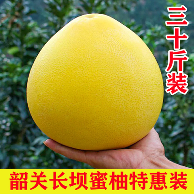 长坝红心蜜柚特惠包装