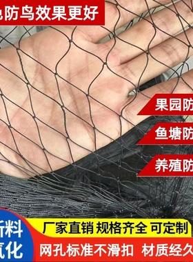 新品防鸟网果园果树大棚黑色涤纶防护网樱桃葡萄草莓鱼塘防护天网