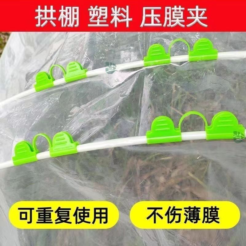 大棚玻璃纤维支架膜扣蝴蝶压膜卡扣十字固定塑料薄膜防滑虫网