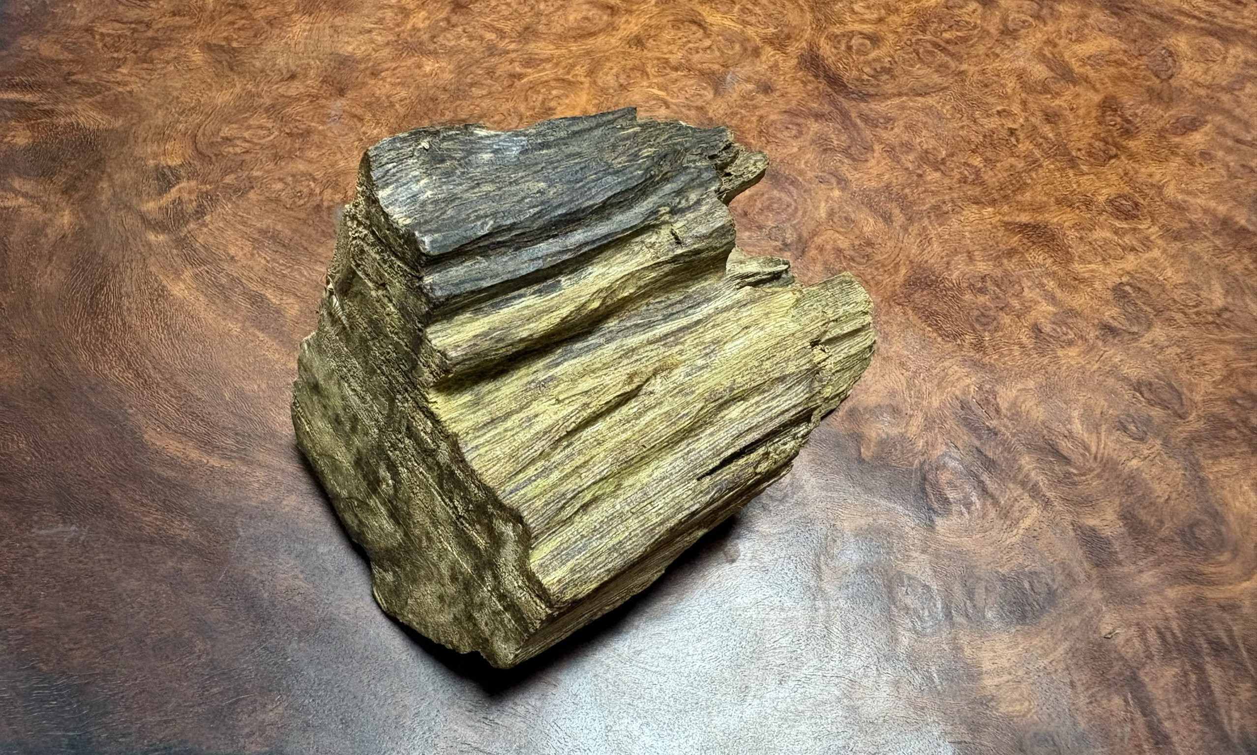 柬埔寨菩萨棋沉香奇楠高油脂膏状沉香