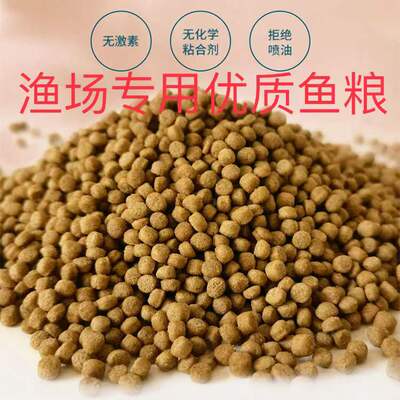 增体增色不浑水锦鲤鱼饲料螺旋藻