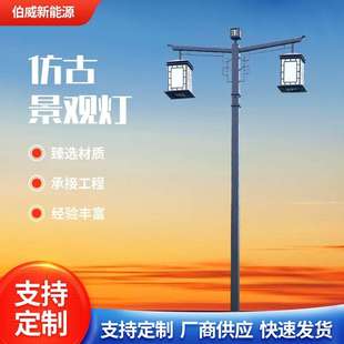 景区中式庭院led景观路灯园林别墅小区双头灯笼仿古太阳能景观灯