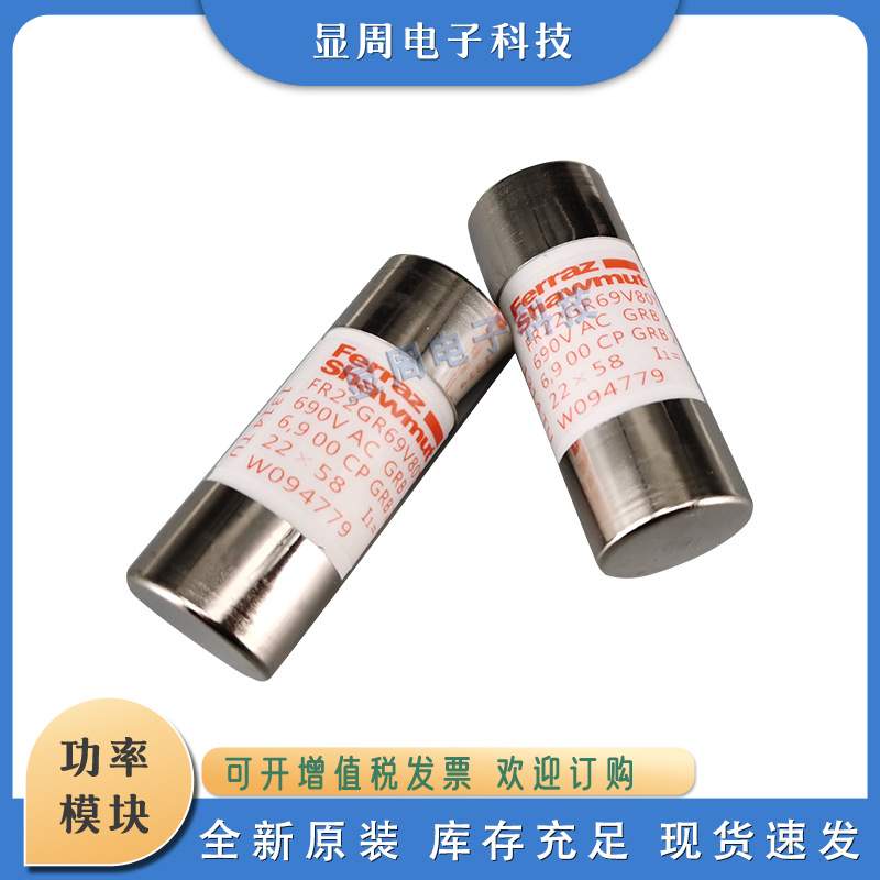 全新电子保险丝熔断器FR10GG69V1 2 4 R302787 S302788 T302789