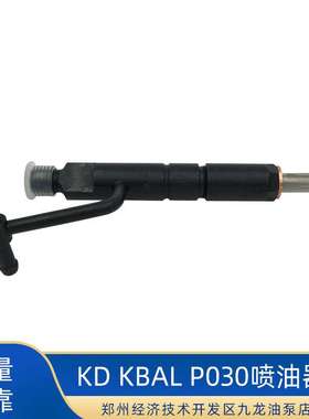 全新现货 厂家现货出售柴油喷油器总成KD KBAL-P030 喷油嘴