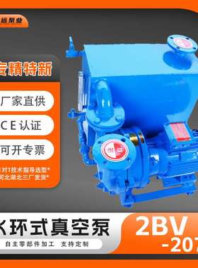 厂家2BV2071水环式真空泵铸铁304电机液环泵水循环真空泵