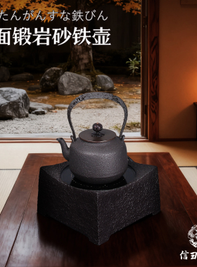 日本信龙堂原装进口铁壶纯手工烧水壶复古泡茶壶养生茶具南部铁瓶