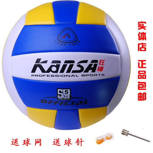 Ballon de volley-ball - Ref 2013032 Image 1