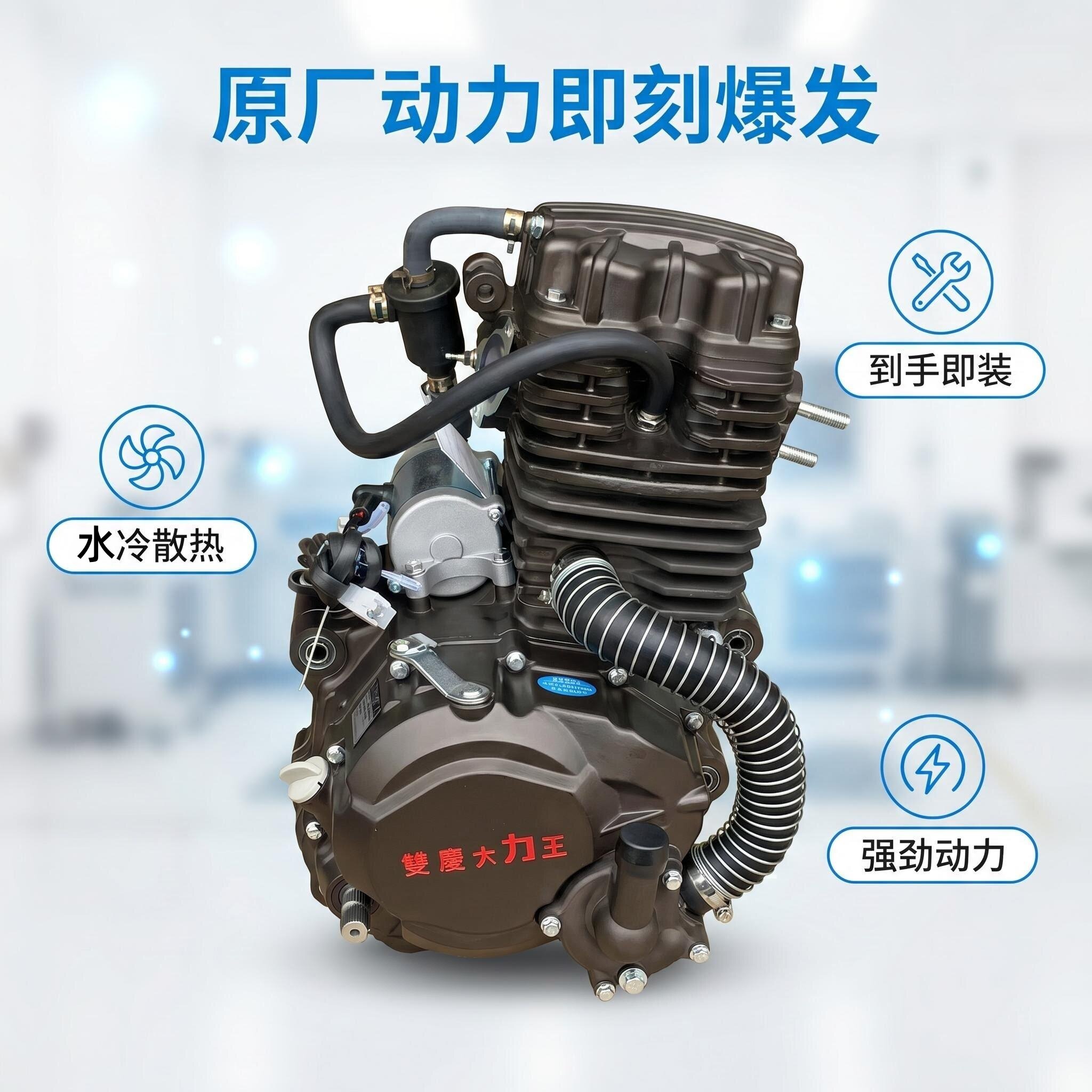 三轮摩托车双庆大力王通用大排量捍威350型海啸250双冷重载发动机