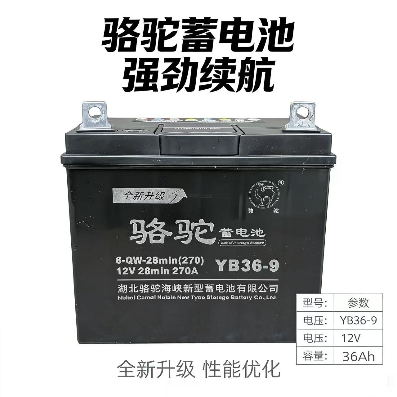 骆驼电池12V36A燃油三轮摩托车微耕机发电机启动铅酸免维护蓄电瓶