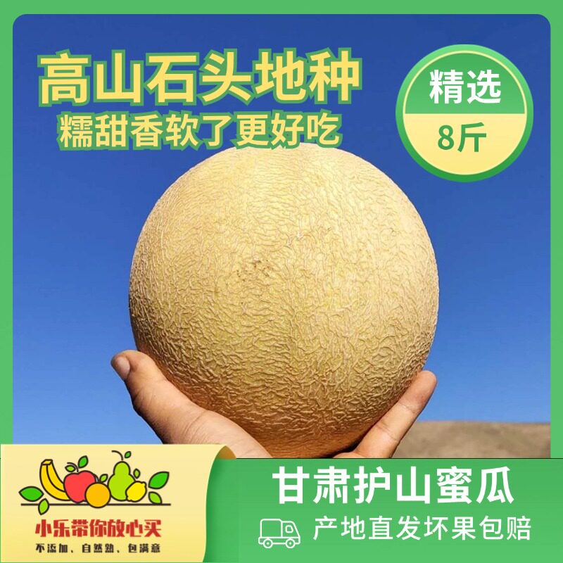 甘肃护山蜜瓜软糯甜香高山石头地种植放一放底部按压软了更好吃