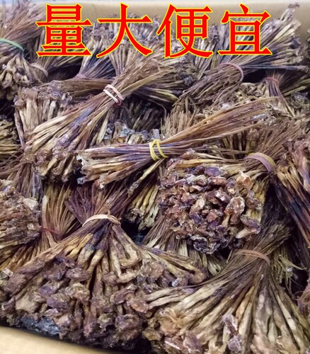 蛇鞭中药材纯眼镜蛇鞭干50克包邮 泡酒料  另牛鞭 羊鞭 驴鞭
