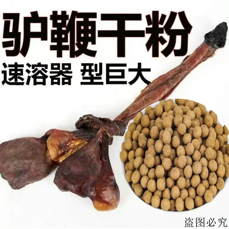 买一送一正品中老年驴鞭粉药丸鹿鞭狗鞭蛇鞭高浓缩滋补佳品