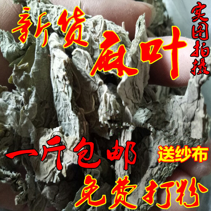 中药材麻叶15一斤包邮野生  麻叶另售  桑叶打粉防风健康送纱布
