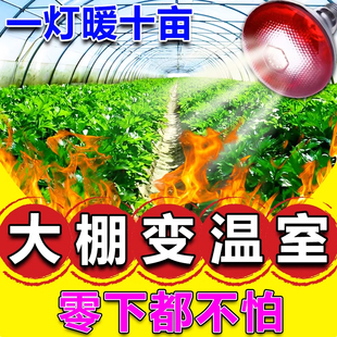 大棚增温灯菜棚防冻保暖取暖灯增产仿太阳光植物花卉增温神器温室