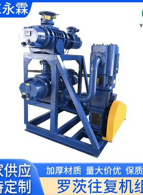 定制JZJ2B水环罗茨真空泵机组JZJS罗茨泵水环式罗茨水环真空机组