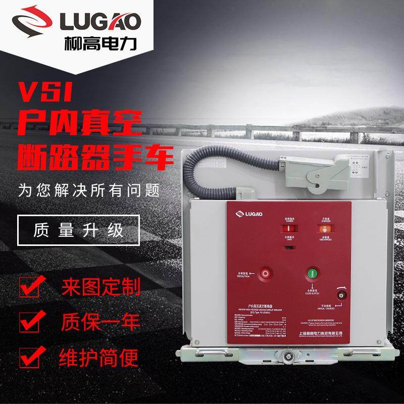 10KV户内高压真空断路器（ZN63）手车式固封筒装式真空断路器VS1
