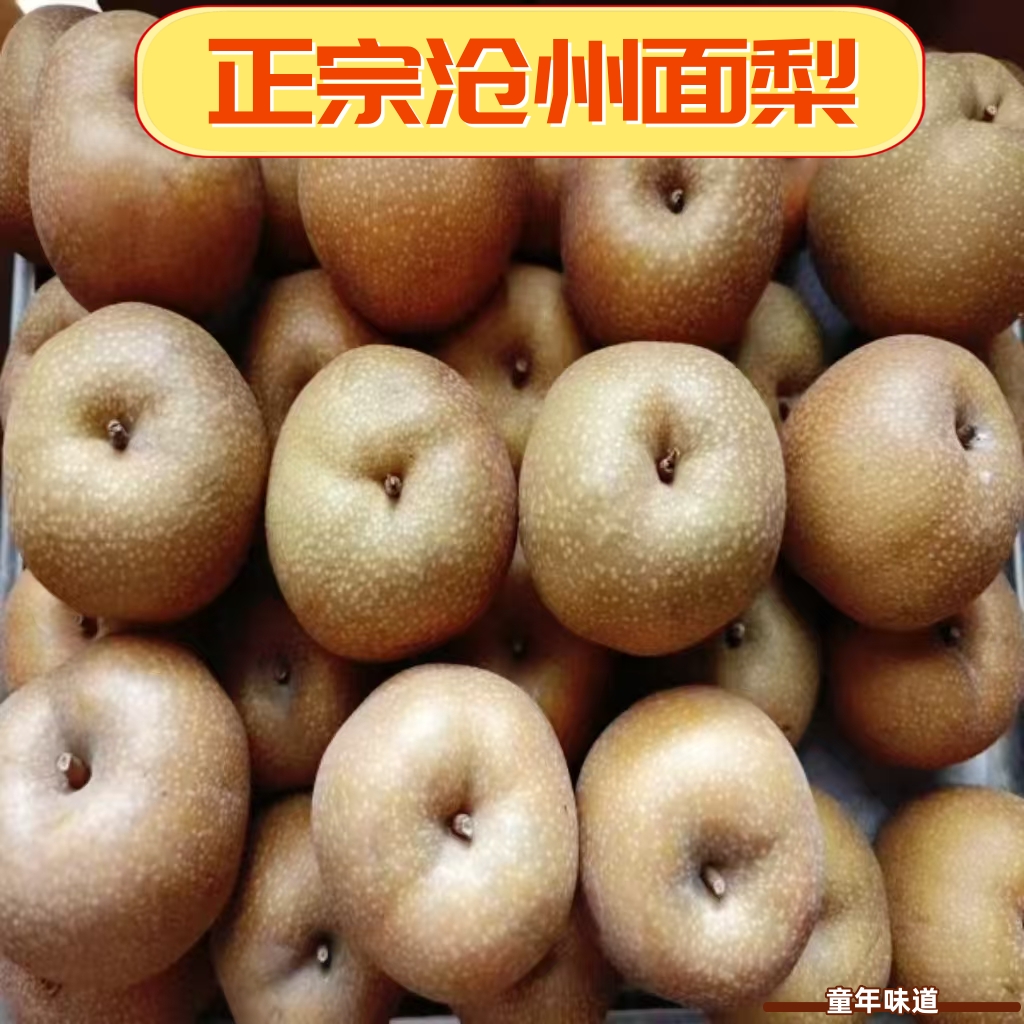 正宗河北面梨红面梨噎面梨河北特产黑面梨新鲜5斤装产地直发