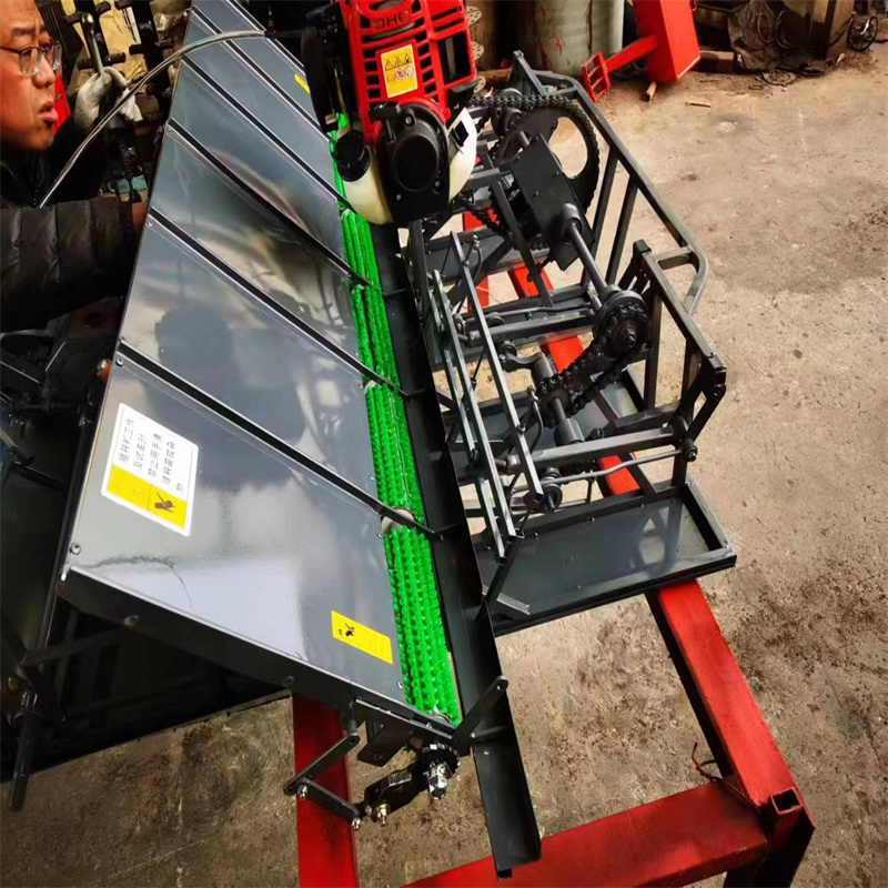 人工手动小型插秧机农用耕种机械 手推式水稻新式六行插禾机