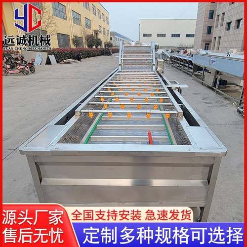 厂家供应全自动多功能红枣苹果气泡清洗机大型商用果蔬清洗设备