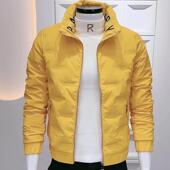 羽绒服轻薄新款 冬季 外套男立领痞帅字母拼色男士 棉服精神小伙棉衣