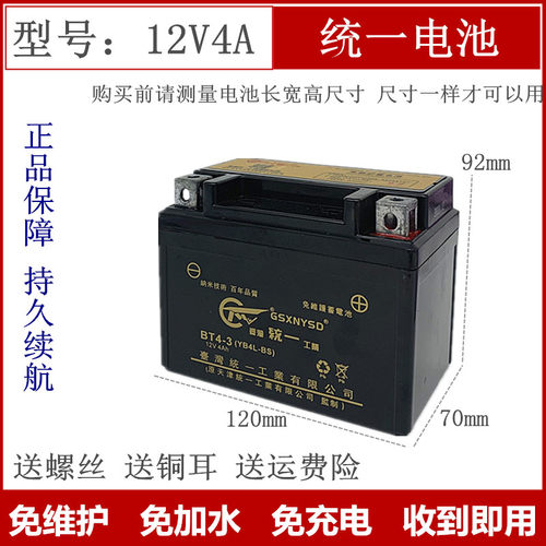 统一干电瓶免维护蓄电池