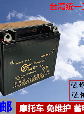 摩托车电瓶12V9a蓄电池免维护通用125摩托车电瓶踏板车12v7ah电池