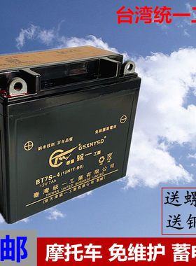 摩托车电瓶12v9a通用踏板车