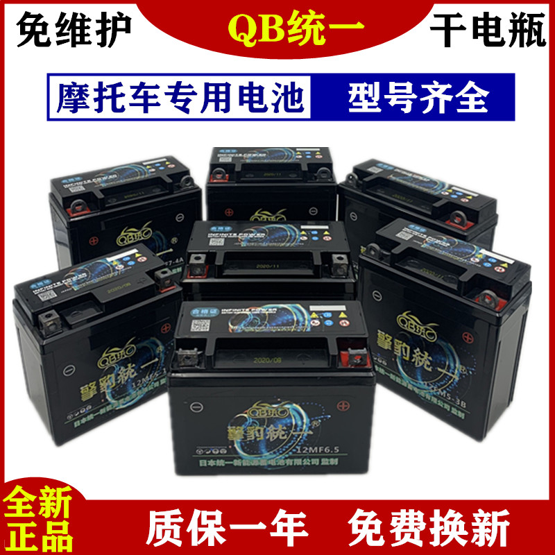 摩托车电瓶通用踏板125助力车