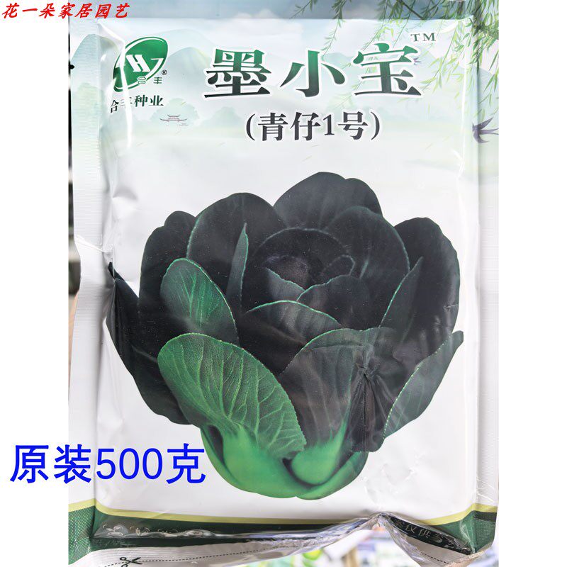 青仔1号精黑矮脚青菜种籽500克