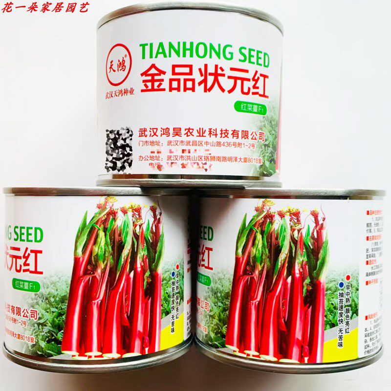 金品状元红洪山菜苔种籽高产耐热脆甜武汉特色红菜苔种子