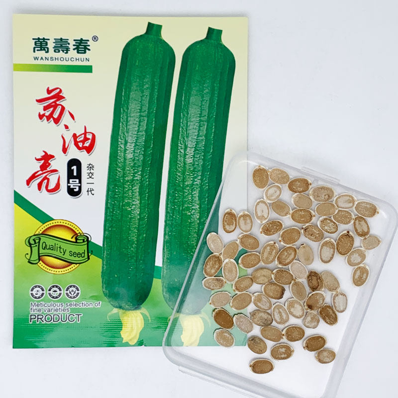 苏油亮1号丝瓜种籽高产短棒油皮丝瓜种耐热油丝瓜水瓜种子10克