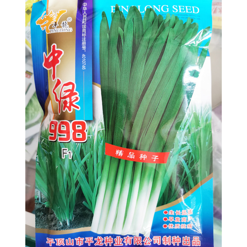 中绿998不枯苗861韭菜种籽耐寒春秋不休眠河南宽叶791韭菜种子