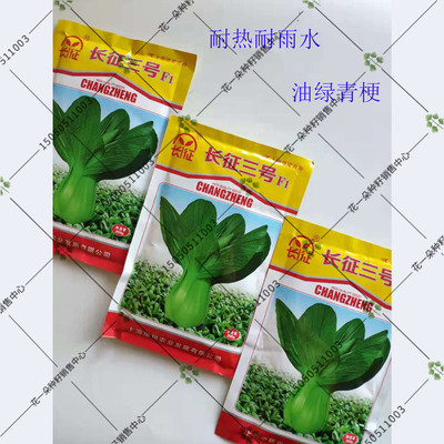 长征三号青梗菜青菜种籽高产耐热四季播夏季油亮上海青青菜种子