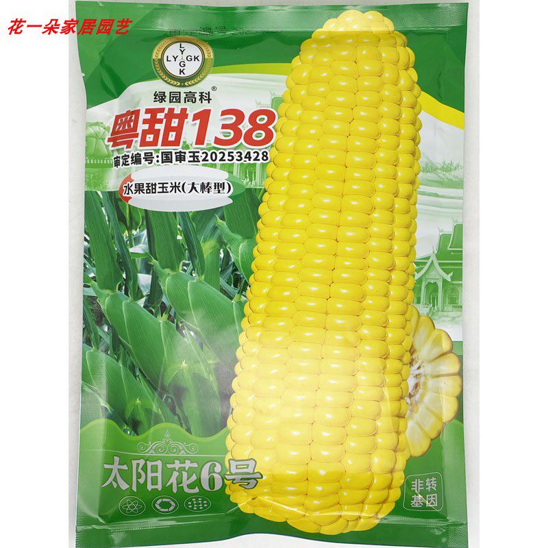 粤甜138超甜水果玉米种子
