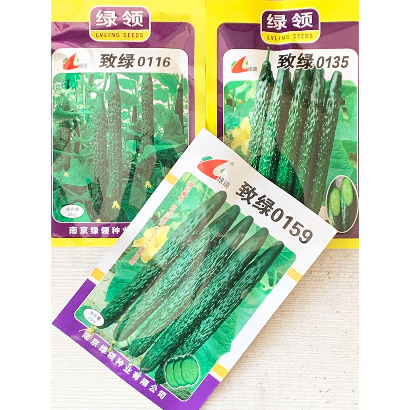 绿领致绿0135黄瓜种子早春高蔬菜种子/种苗