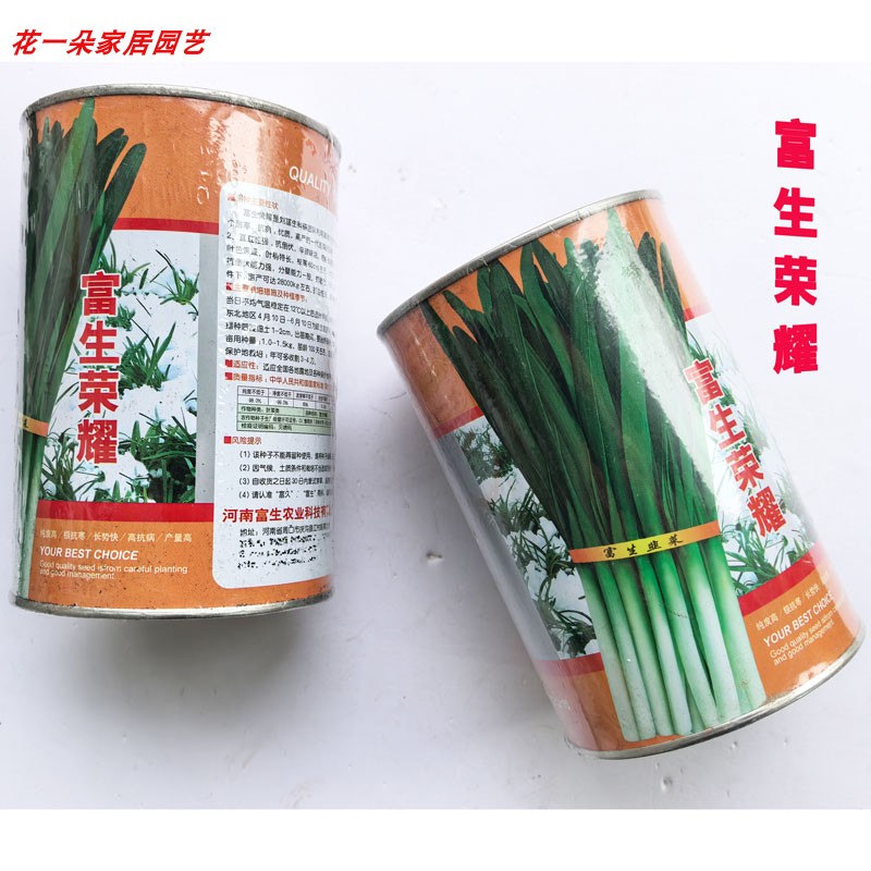 富生荣耀韭菜种子高产抗病耐寒