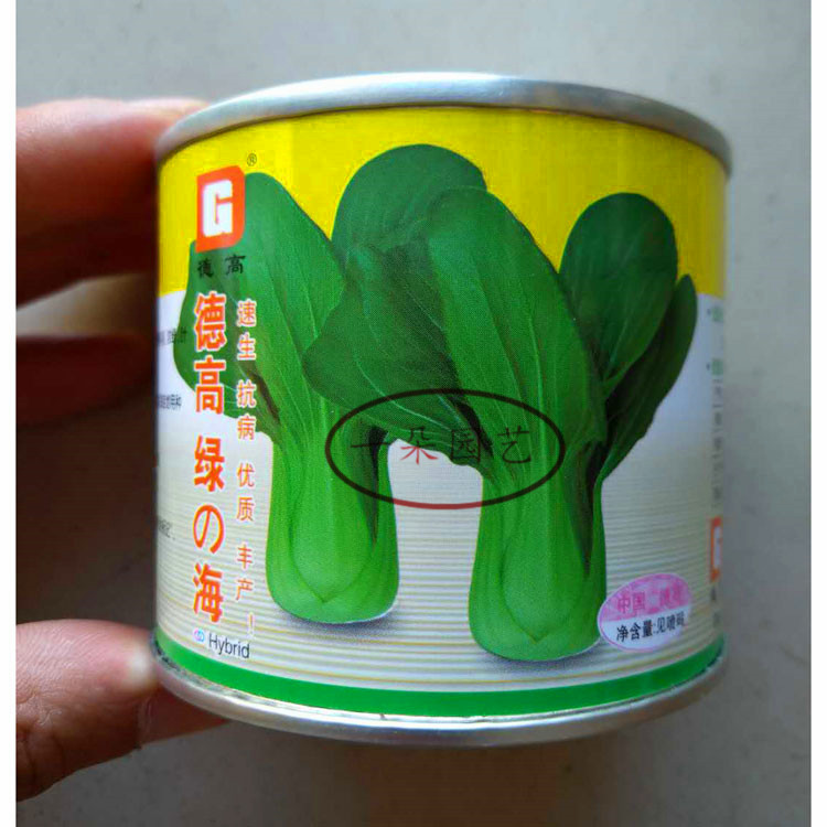 德高绿海骄阳华羽特矮青青梗菜种子高产耐热四季播农家青菜种子